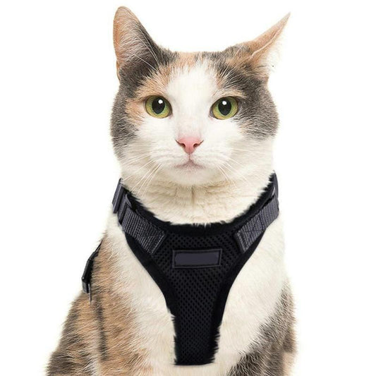 Purrfectprowl - Stylish Cat Walking Harness-1