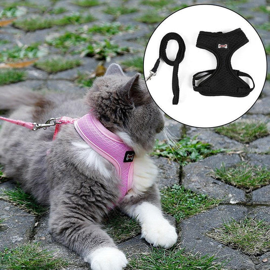 Ultimate Grip Cat Harness-0