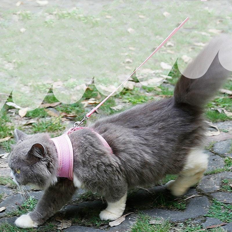 Ultimate Grip Cat Harness-1