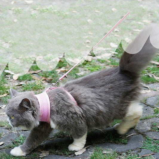 Ultimate Grip Cat Harness-1